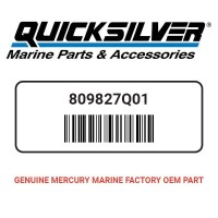 MarineWarehouse/809827Q01__40270.1739465860