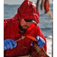 MarineWarehouse/GRU-10029-RED-LIFSTYLE__28377.1739462575
