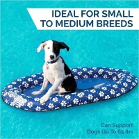 MarineWarehouse/SwimWays-Small-Paddle-Paws-Spring-Dog-Pool-Float__74805.1739460631